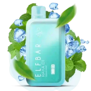 ELF BAR RAYA D1 – Miami Mint