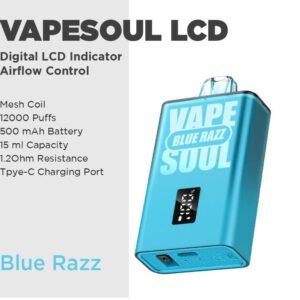 Blue Razz ice - Vapesoul LCD (12000 Puffs)